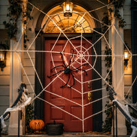 Riesiges Halloween Spinnennetz